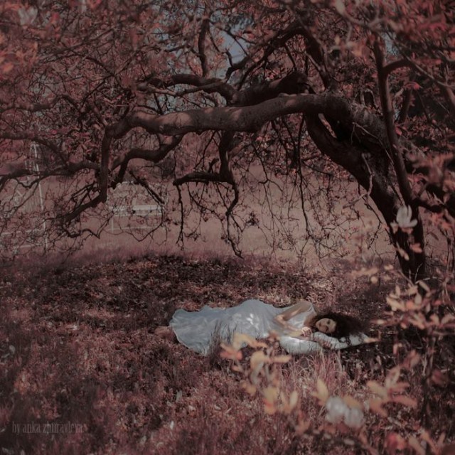 fot. Anka Zhuravleva, Złodziejewo 2013 fot. Anka Zhuravleva, Złodziejewo 2013