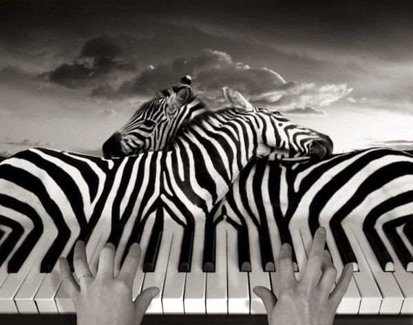 Thomas Barbéy Thomas Barbéy